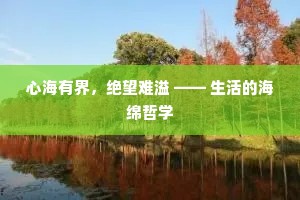 心海有界，绝望难溢 —— 生活的海绵哲学