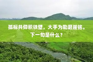 孤标共仰积铁壁，大手为勒磨崖铭。下一句是什么？