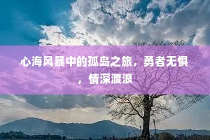 心海风暴中的孤岛之旅，勇者无惧，情深渡浪