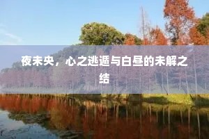 夜未央，心之逃遁与白昼的未解之结