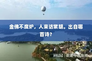 金佛不度炉，人来访紫胡。出自哪首诗？