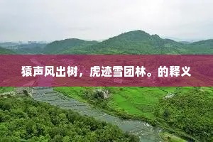 猿声风出树，虎迹雪团林。的释义