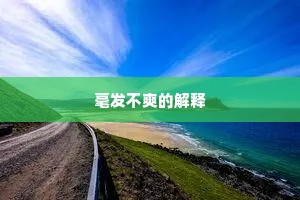毫发不爽的解释