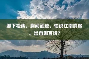 脚下松涛，胸间酒迹，怕说江南羁客。出自哪首诗？
