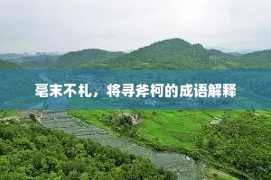 毫末不札，将寻斧柯的成语解释