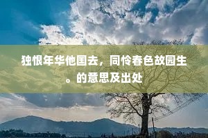 独恨年华他国去，同怜春色故园生。的意思及出处
