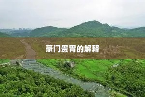 豪门贵胄的解释
