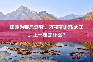 秣陵为客总途穷，才技如君恨太工。上一句是什么？