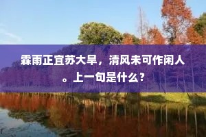 霖雨正宜苏大旱，清风未可作闲人。上一句是什么？