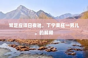 驽足应须日夜驰，丁宁莫枉一男儿。的解释