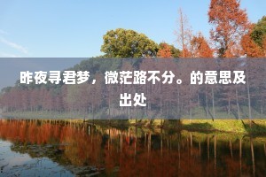 昨夜寻君梦，微茫路不分。的意思及出处