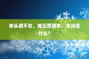 举头君不在，唯见西陵木。全诗是什么？