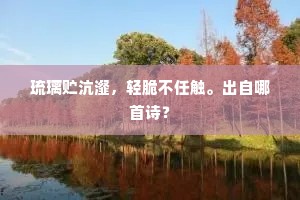 琉璃贮沆瀣，轻脆不任触。出自哪首诗？