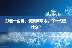 形骸一尘垢，贵贱两草木。下一句是什么？