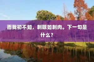而我初不知，刺眼如刺肉。下一句是什么？