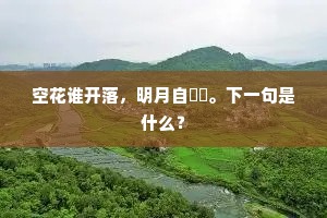 空花谁开落，明月自朏朒。下一句是什么？