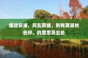 烟迷荻浦，风乱荷塘，剩有菱湖秋色好。的意思及出处
