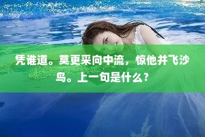 凭谁道。莫更采向中流，惊他并飞沙鸟。上一句是什么？