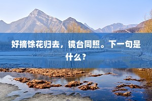 好摘馀花归去，镜台同照。下一句是什么？