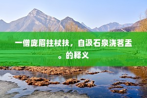 一僧庞眉拄杖扶，自汲石泉浇茗盂。的释义