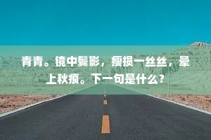 青青。镜中鬓影，瘦损一丝丝，晕上秋痕。下一句是什么？