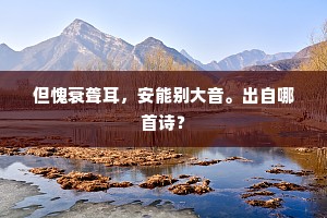 但愧衰聋耳，安能别大音。出自哪首诗？