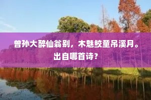 曾孙大醉仙翁别，木魅鲛童吊溪月。出自哪首诗？
