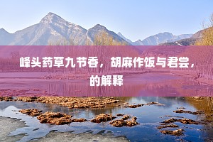 峰头药草九节香，胡麻作饭与君尝，的解释
