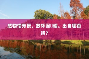 感物惜芳景，放怀因綵翰。出自哪首诗？