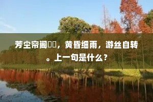 芳尘帘阁愔愔，黄昏细雨，游丝自转。上一句是什么？
