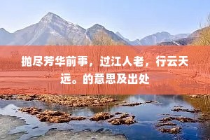 抛尽芳华前事，过江人老，行云天远。的意思及出处