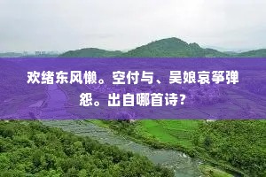 欢绪东风懒。空付与、吴娘哀筝弹怨。出自哪首诗？