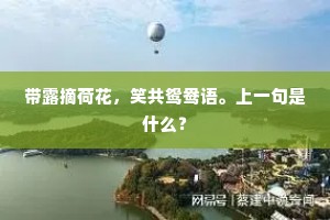 带露摘荷花，笑共鸳鸯语。上一句是什么？