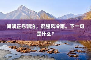 海隅正怨飘泊，况腥风冷雨。下一句是什么？