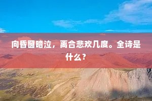 向昏窗暗泣，离合悲欢几度。全诗是什么？