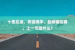 十里后湖，芳堤携手，趁柳烟花雾。上一句是什么？