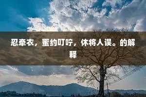 忍牵衣，蜜约叮咛，休将人误。的解释