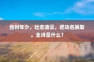 当时年少，壮志凌云，把功名换取。全诗是什么？