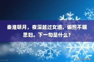 秦淮明月，夜深越过女墙，偏照不眠思妇。下一句是什么？