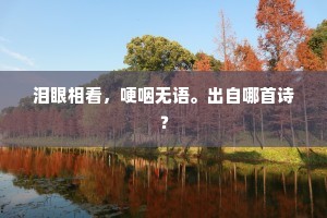 泪眼相看，哽咽无语。出自哪首诗？