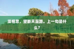 漫相思，望断天涯路。上一句是什么？