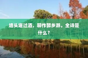 墙头堪过酒，聊作醉乡游。全诗是什么？
