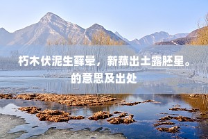 朽木伏泥生藓晕，新菰出土露胚星。的意思及出处