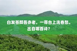 白发苍颜吾亦老，一尊台上洗春愁。出自哪首诗？