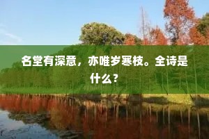 名堂有深意，亦唯岁寒枝。全诗是什么？