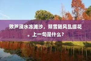 败芦浸水冻滩沙，朔雪随风乱缀花。上一句是什么？
