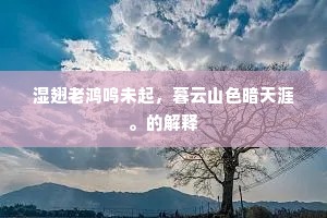 湿翅老鸿鸣未起，暮云山色暗天涯。的解释