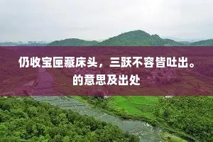 仍收宝匣藏床头，三跃不容皆吐出。的意思及出处