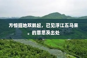 方惊掘地双鹅起，已见浮江五马来。的意思及出处