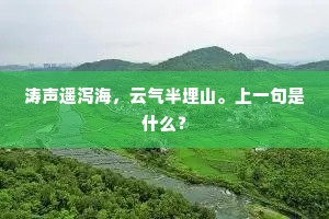 涛声遥泻海，云气半埋山。上一句是什么？
